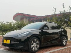 Tesla Model Y Rear-Wheel Drive - ფოტო 1
