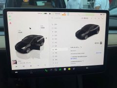 Tesla Model Y Rear-Wheel Drive - ფოტო 17