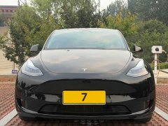 Tesla Model Y Rear-Wheel Drive - ფოტო 2