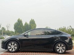 Tesla Model Y Rear-Wheel Drive - ფოტო 3