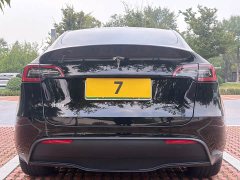 Tesla Model Y Rear-Wheel Drive - ფოტო 5
