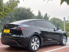 Tesla Model Y Rear-Wheel Drive - ფოტო 6