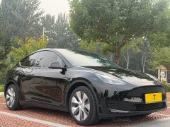 Tesla Model Y Rear-Wheel Drive - ფოტო 8