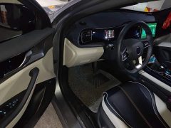 BYD Qin Plus DM-i 55KM Flagship - photo 12