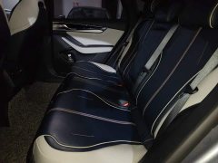 BYD Qin Plus DM-i 55KM Flagship - photo 13