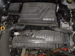 BYD Qin Plus DM-i 55KM Flagship - photo 16