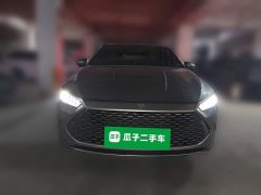 BYD Qin Plus DM-i 55KM Flagship - photo 2