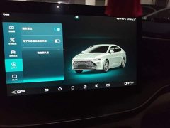 BYD Qin Plus DM-i 55KM Flagship - photo 20