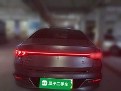 BYD Qin Plus DM-i 55KM Flagship - photo 3