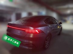 BYD Qin Plus DM-i 55KM Flagship - photo 4