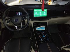 BYD Qin Plus DM-i 55KM Flagship - photo 5