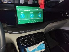 BYD Qin Plus DM-i 55KM Flagship - photo 9
