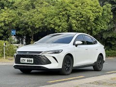 BYD Qin PLUS DM-i Smart Drive Edition 55KM Leading - photo 1