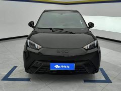 BYD Seagull Glory Edition 305km Vitality Version - ფოტო 2
