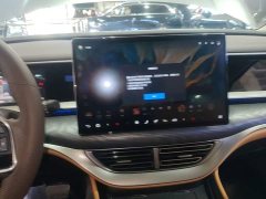 Denza D9 DM-i 980 AWD Luxury - ფოტო 12