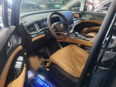 Denza D9 DM-i 980 AWD Luxury - ფოტო 15