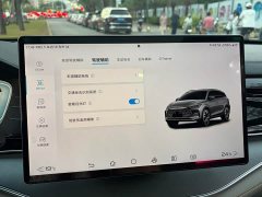 BYD Yuan Plus DM-i 215km Range AWD Flagship - photo 20