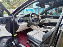 BYD Yuan Plus DM-i 215km Range AWD Flagship - photo 8