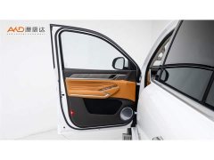 Tank 500 New Energy Hi4-T Smart Comfort Edition - photo 10