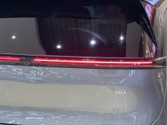 Zeekr MIX Smart Driving Edition - ფოტო 4