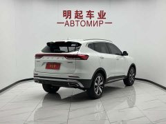 Haval H6 National Trend Edition 1.5T Automatic Champion Version - photo 8