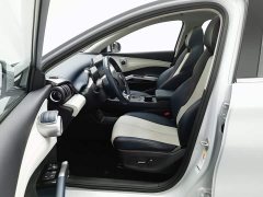 BYD Yuan Plus 510KM Flagship - photo 10