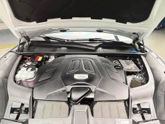 Porsche Cayenne 3.0T Platinum Edition - photo 11
