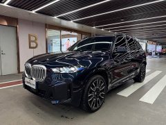 BMW X5 xDrive 40Li M Sport Package - photo 1