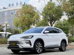 BYD Song Plus New Energy Champion Edition DM-i 110KM Flagship - photo 1