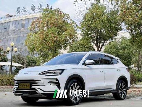 2024 BYD Song Plus New Energy Champion Edition DM-i 110KM Flagship - ავტომობილი ჩინეთიდან