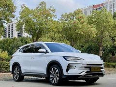 BYD Song Plus New Energy Champion Edition DM-i 110KM Flagship - photo 3