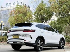 BYD Song Plus New Energy Champion Edition DM-i 110KM Flagship - photo 6