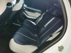 BYD Qin Plus DM-i 55KM Luxury - фото 16