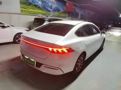 BYD Qin Plus DM-i 55KM Luxury - фото 6