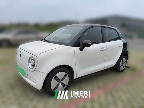 2021 ORA Black Cat 301km Base - ავტომობილი ჩინეთიდან
