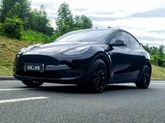 Tesla Model Y Long Range All-Wheel Drive - фото 1