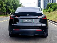 Tesla Model Y Long Range All-Wheel Drive - фото 6