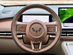 Wuling Bingo S 430km Flagship - ფოტო 10