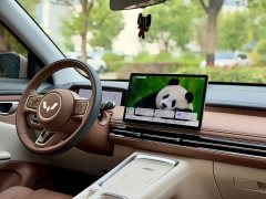 Wuling Bingo S 430km Flagship - ფოტო 11