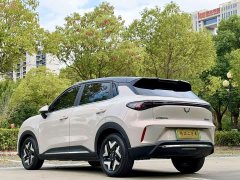Wuling Bingo S 430km Flagship - ფოტო 6