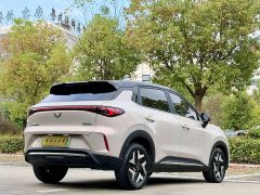 Wuling Bingo S 430km Flagship - ფოტო 8