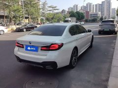 BMW 5 Series Facelift 530Li Premier M Sport Package - photo 3