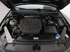 Volkswagen Magotan 2 Million Units Commemorative Edition 330TSI DSG Luxury - photo 6