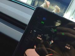 Tesla Model 3 Rear-Wheel Drive - photo 13