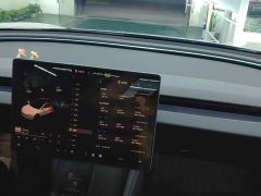 Tesla Model 3 Rear-Wheel Drive - photo 9
