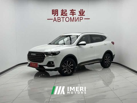 2023 Haval H6 National Trend Edition 1.5T Automatic Urban Version - ავტომობილი ჩინეთიდან