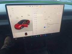Tesla Model 3 Rear-Wheel Drive - ფოტო 12