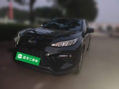 Toyota Wildland 2.0L CVT FWD Leading Edition - фото 1