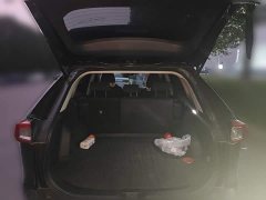 Toyota Wildland 2.0L CVT FWD Leading Edition - фото 15