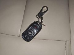 Buick GL8 ES Luxe 653T Prestige - ფოტო 8